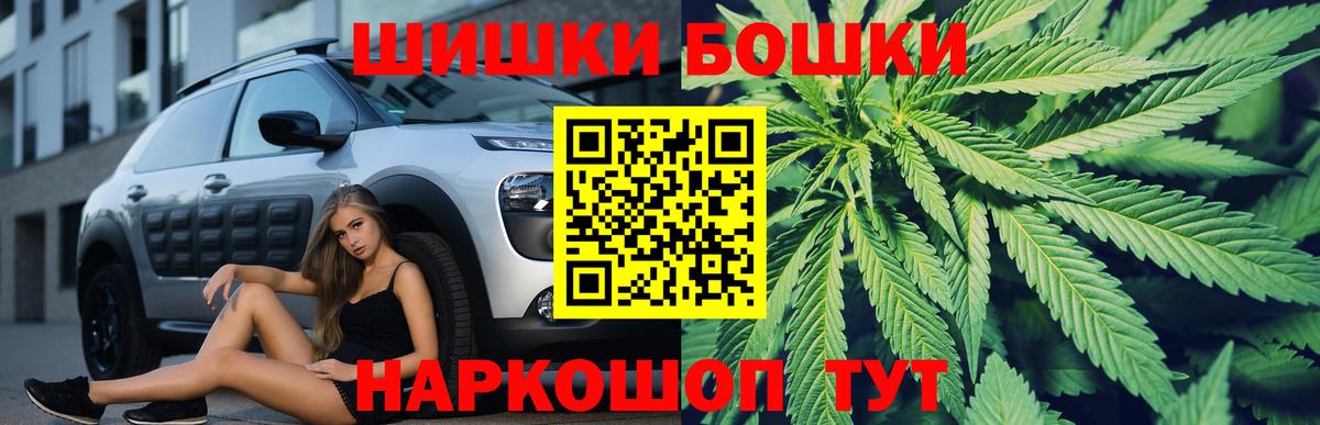 Бошки Шишки план Тобольск